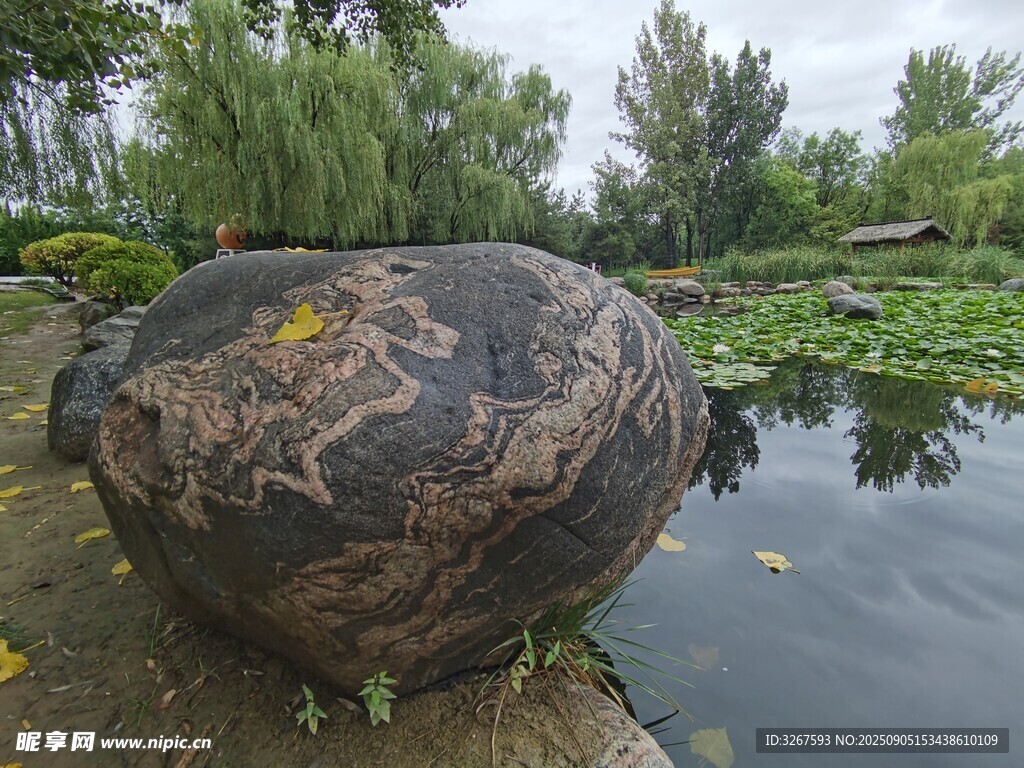 湖畔奇石静卧碧水绿树间