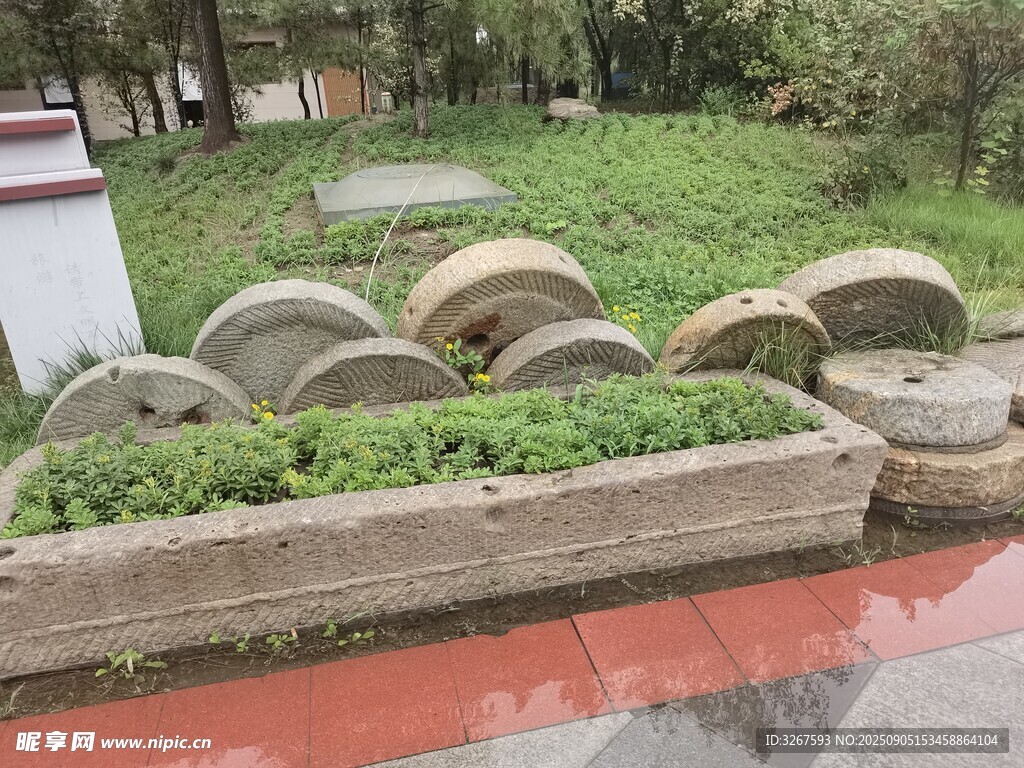 轮胎创意绿植景观