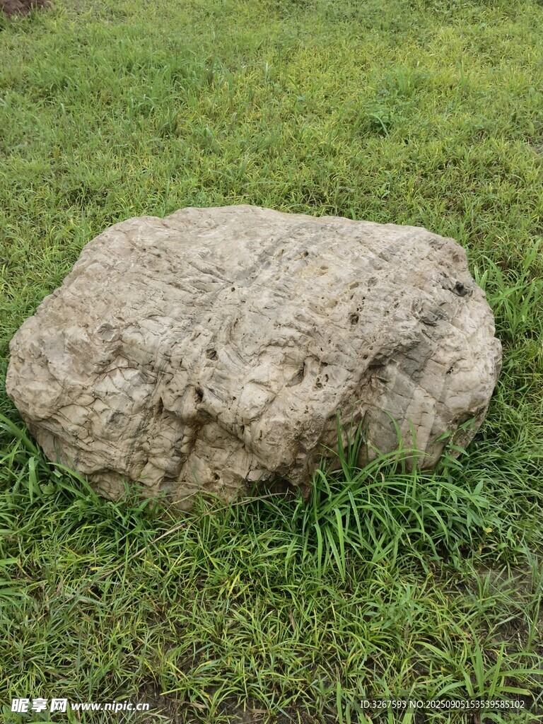 草地上的一块大石头