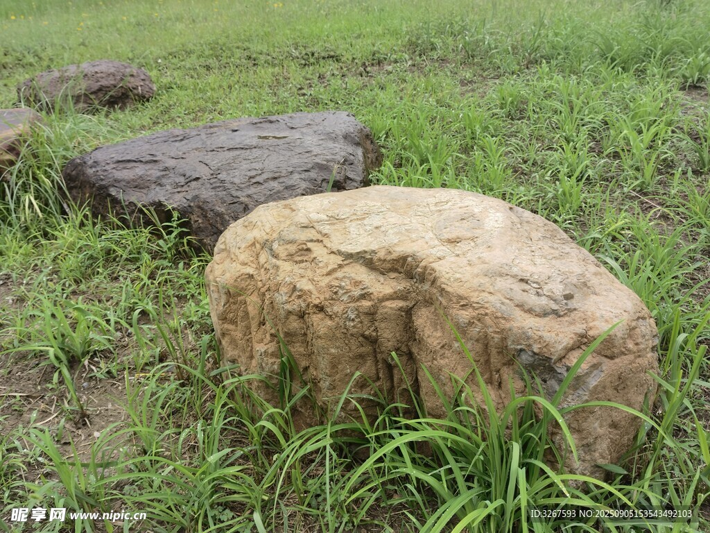 草地上的两块大石头