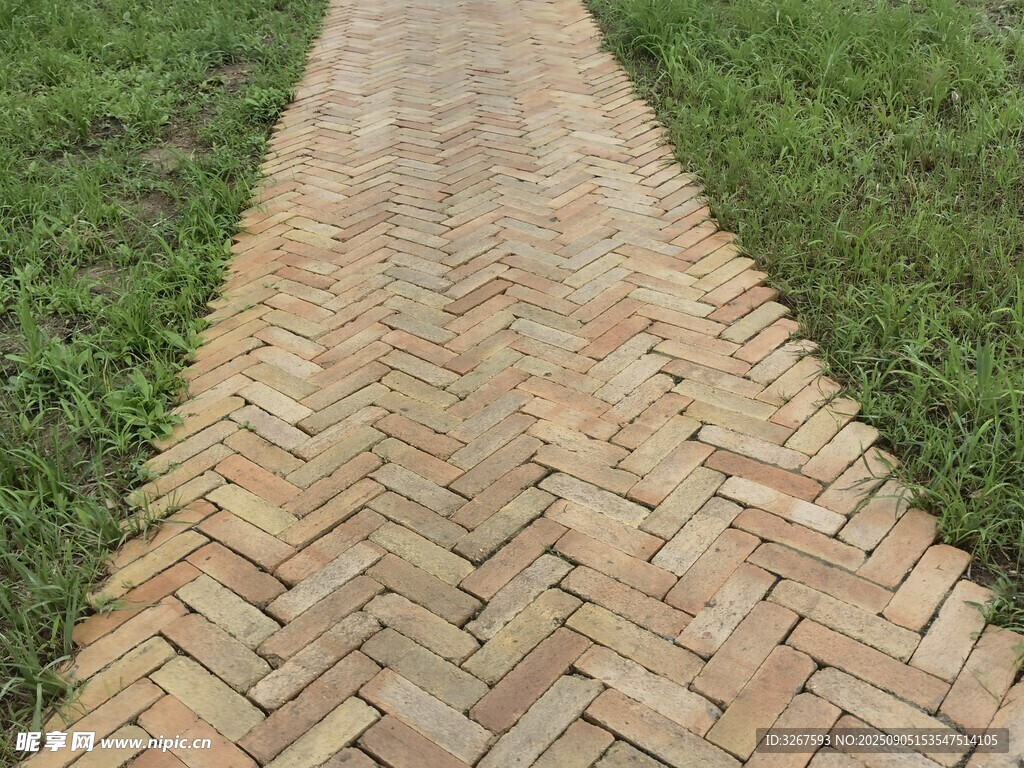 砖砌人字形小径绿意环绕