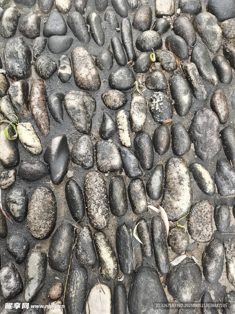 鹅卵石路面纹理特写