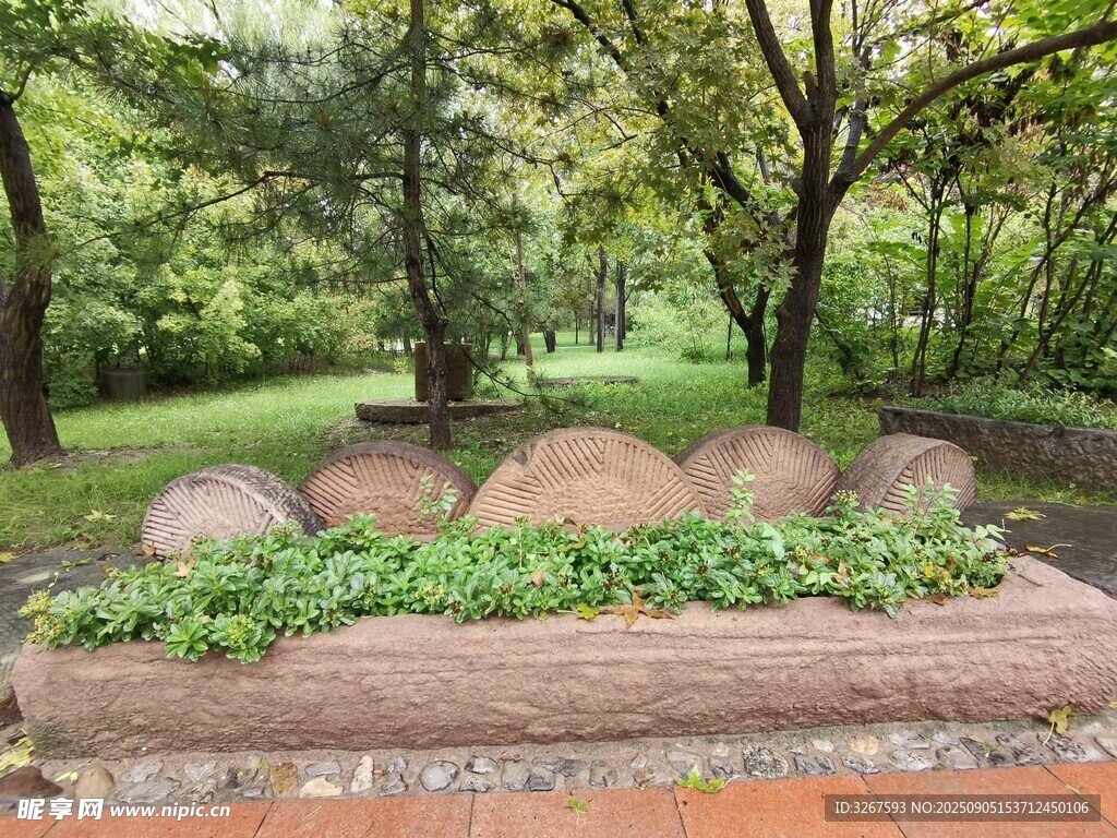 林间石景自然静谧景致