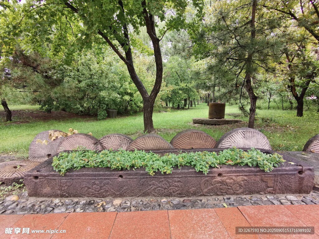 公园中的特色绿植景观