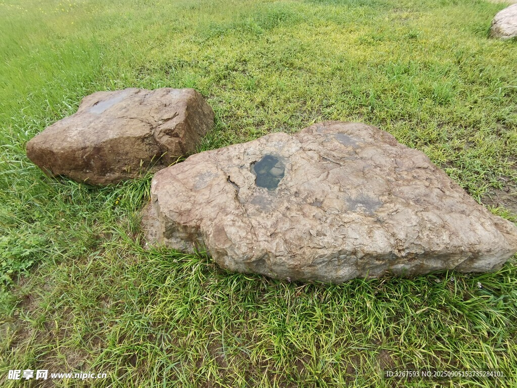 草地上的几块大石头
