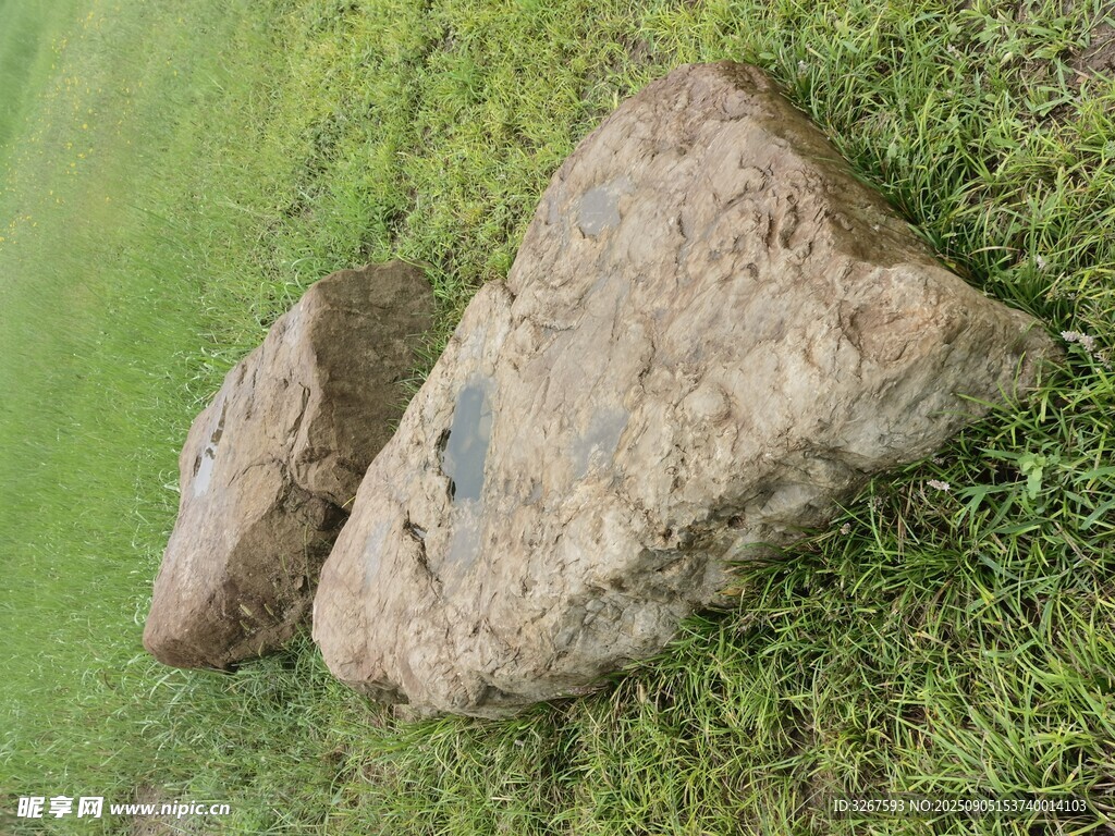 草地上的两块大石头