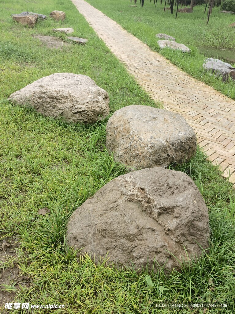 草地小径旁的圆润大石