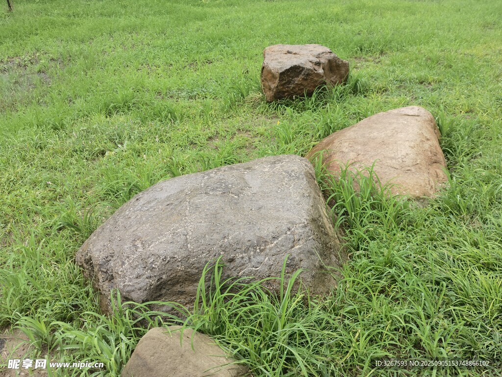 草地上的几块大石头