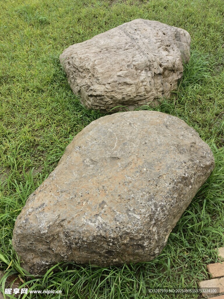 草地上的两块大石头