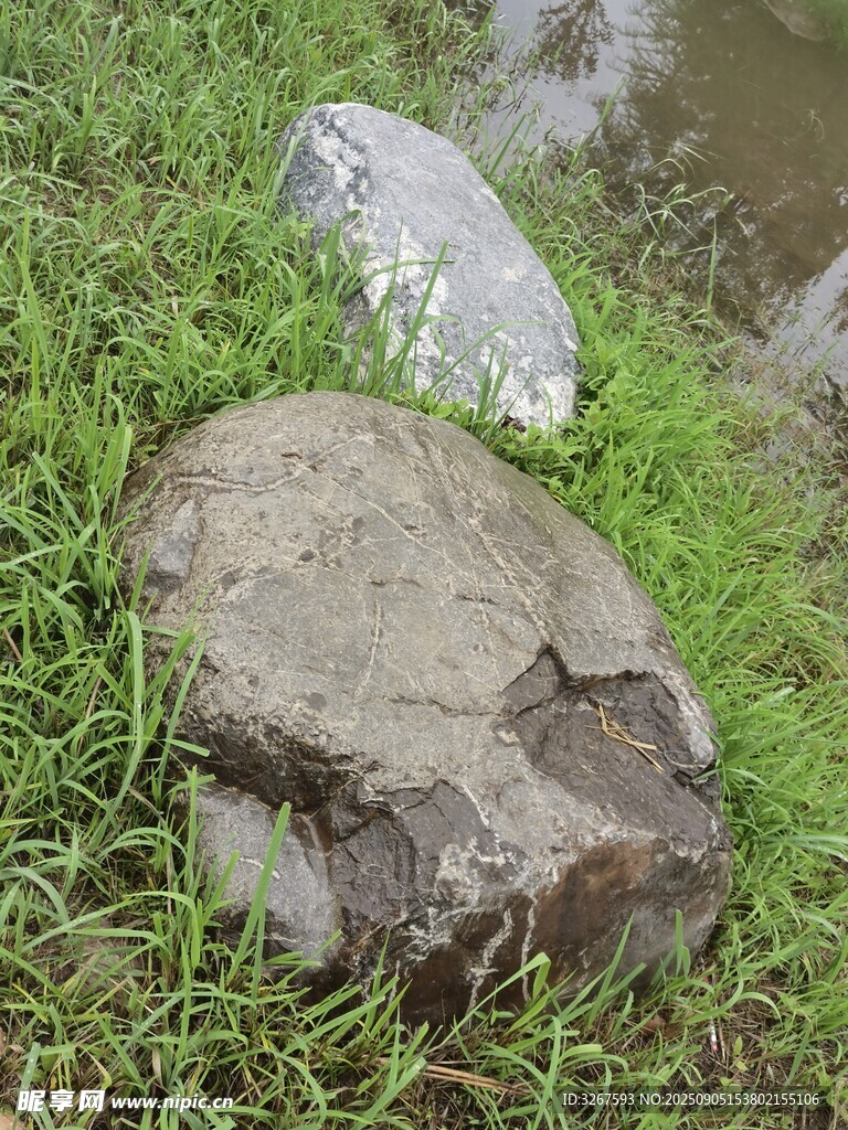 草地上的灰色石头