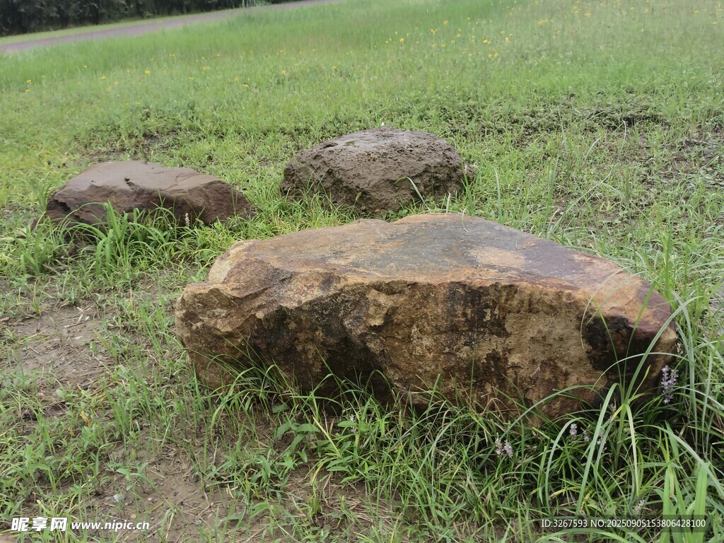 草地上的几块褐色石头