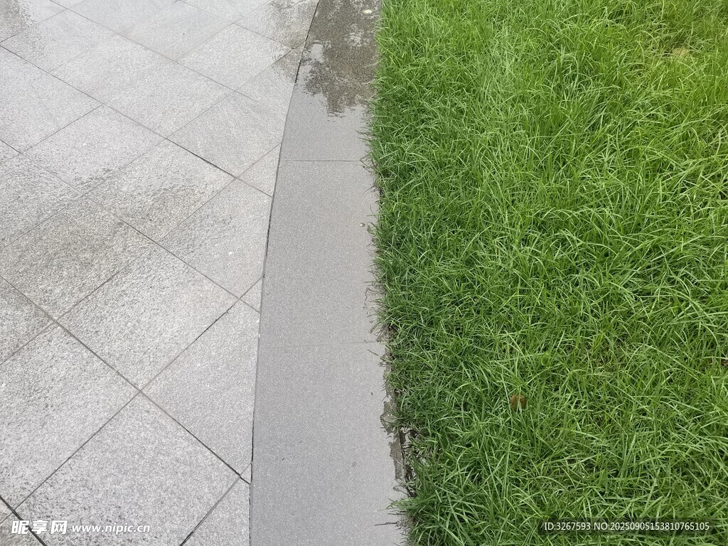 草地与瓷砖地面的边界