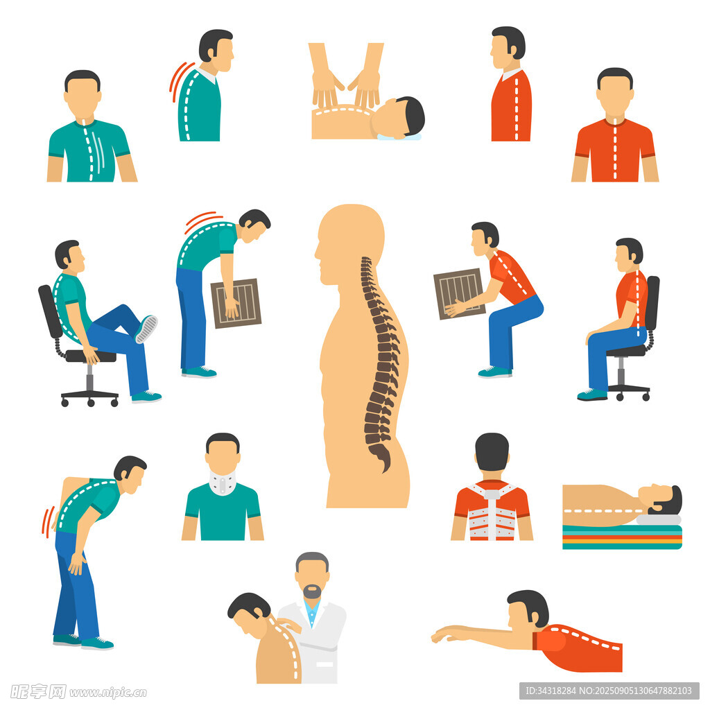多样姿势与脊柱健康图示