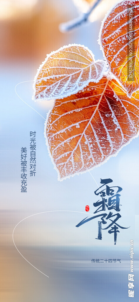 霜降时节秋叶飞鸟之景