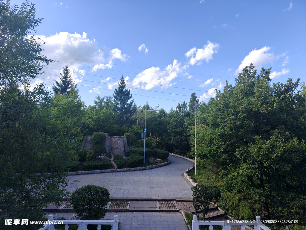 林间开阔地