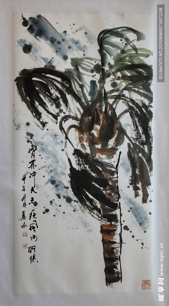 椰子树