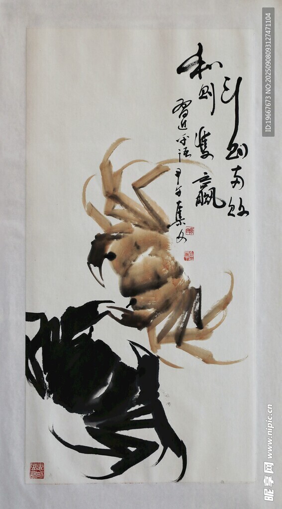  螃蟹图