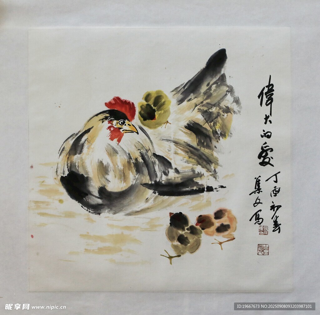  鸡 