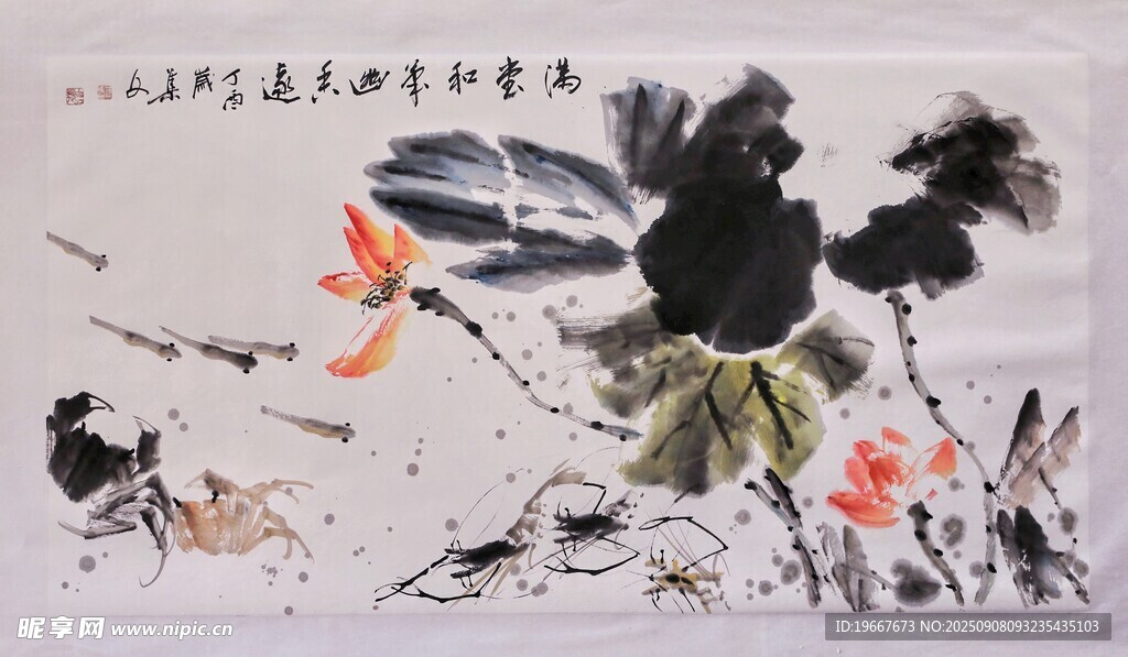 荷花