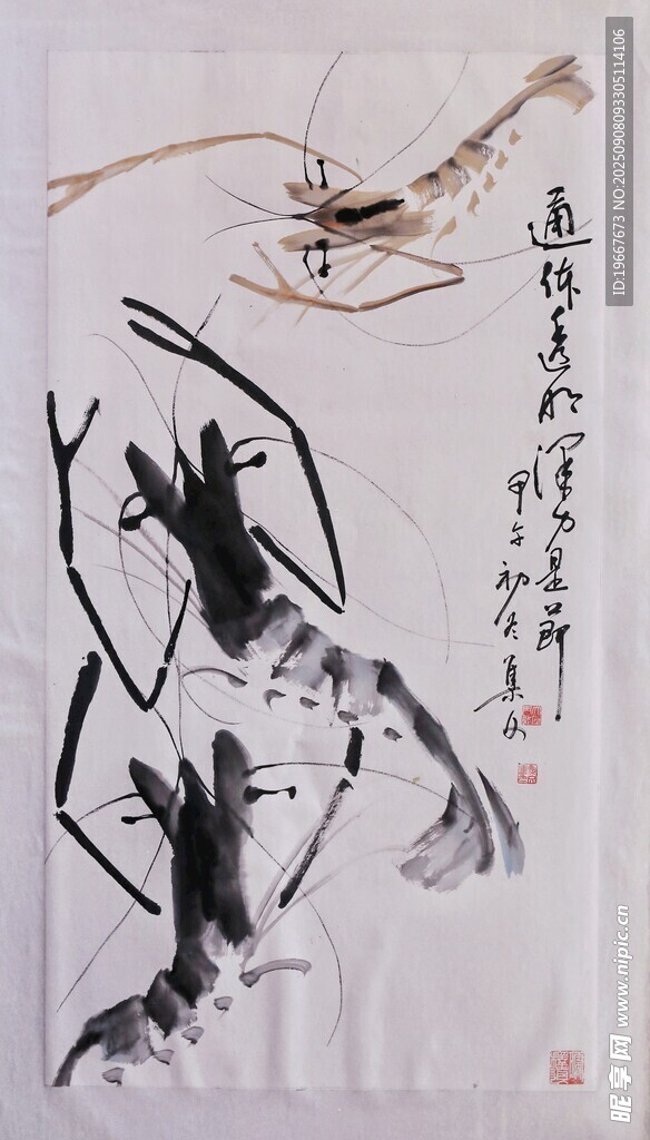 水墨虾 
