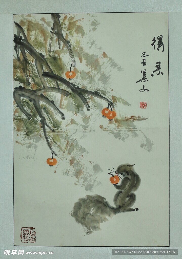 国画松鼠图 