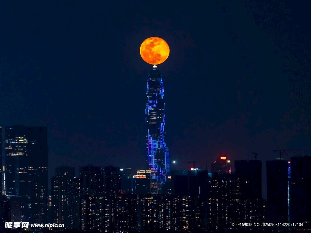 广州塔月夜美景