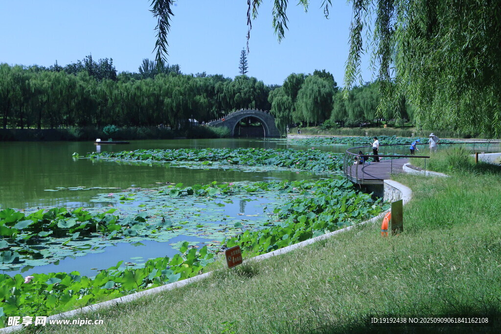 公园风景 
