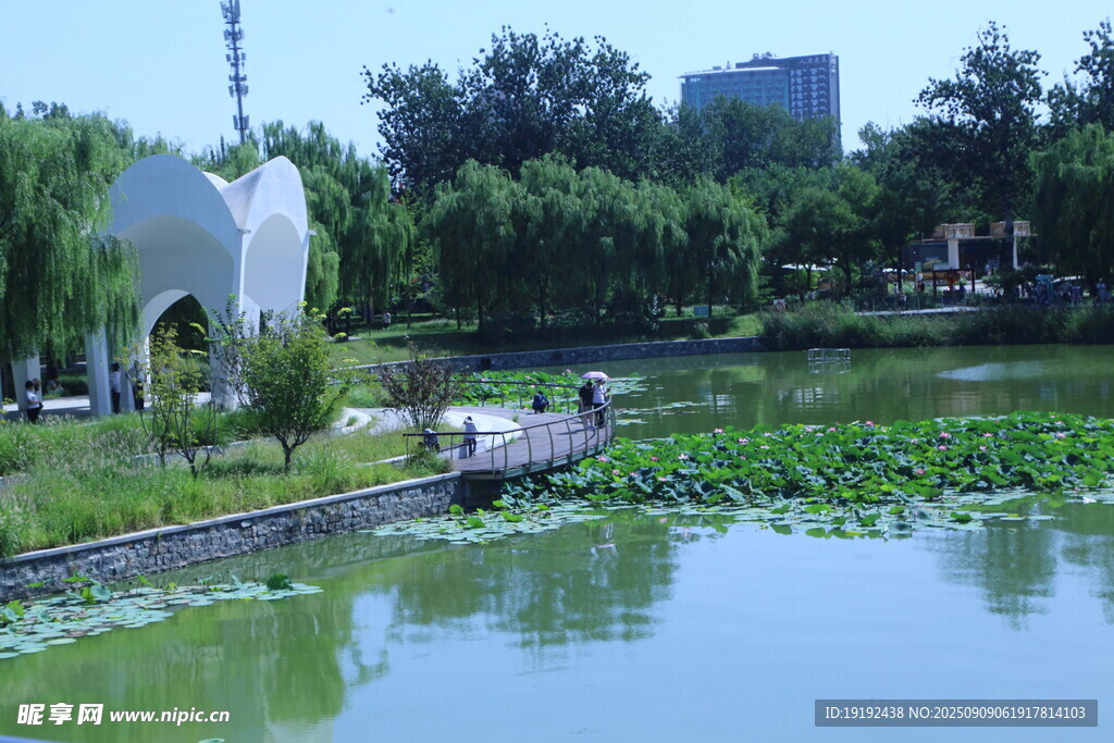 公园风景  