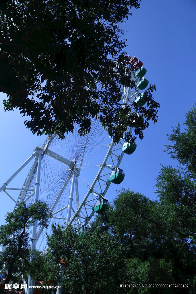 公园风景 