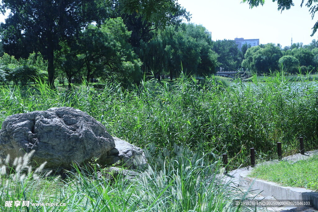 公园风景  