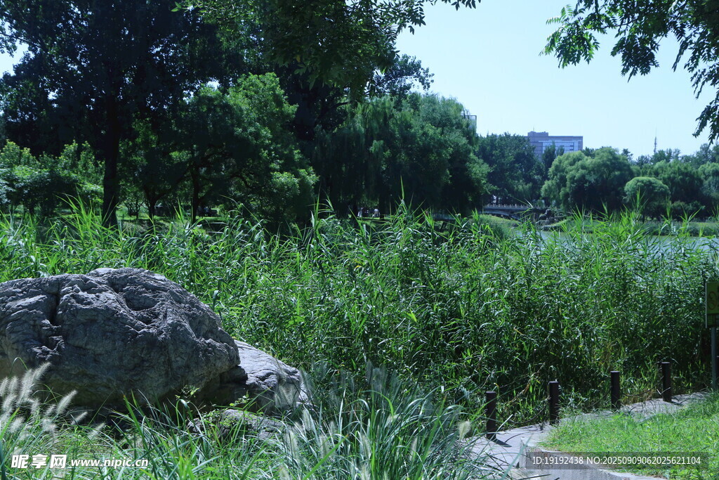 公园风景 