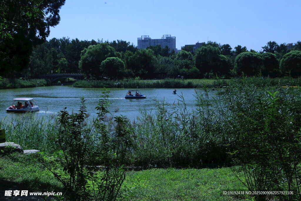 公园风景  