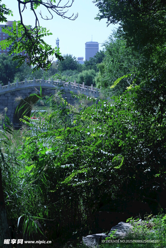 公园风景  