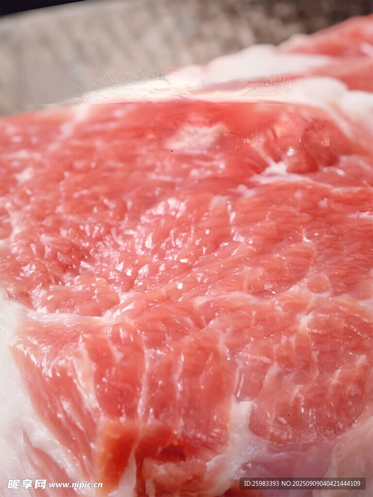 猪肉