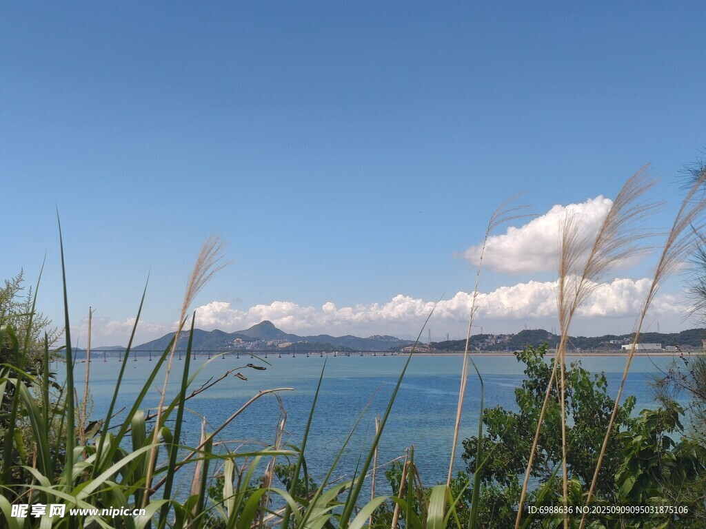 海边景致绿植映衬碧海蓝天