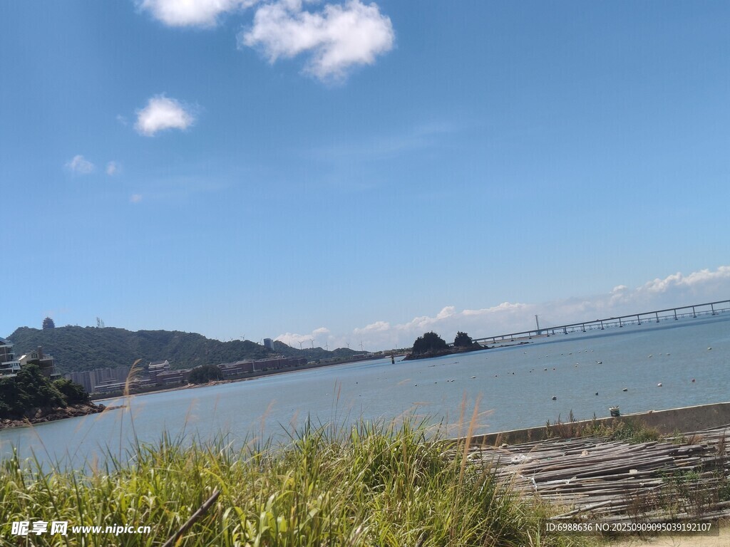 海滨风光蓝天白云与绿植