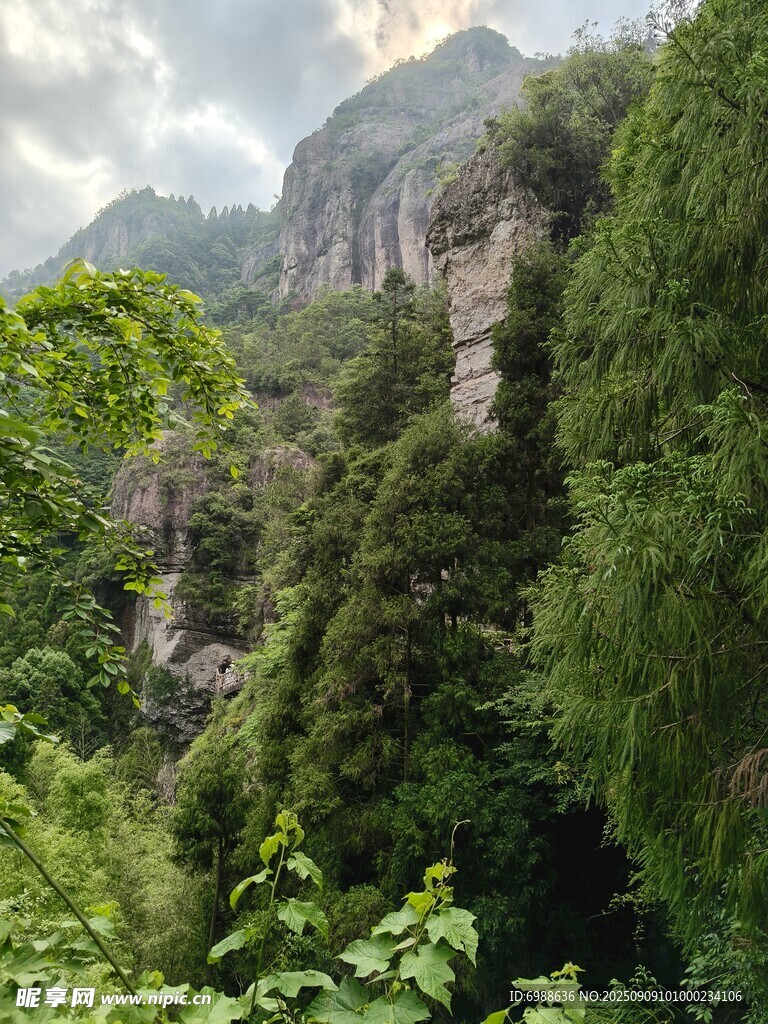 山间绿意盎然的壮丽峡谷