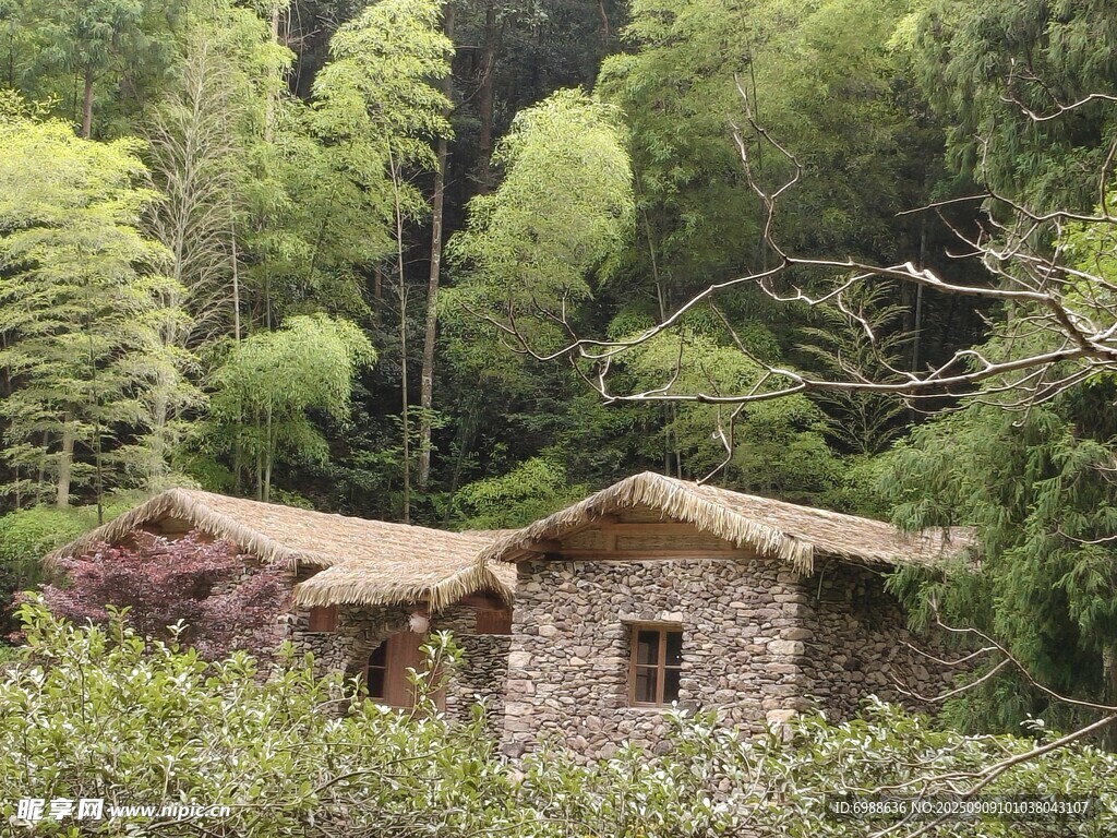 山林中的古朴小屋