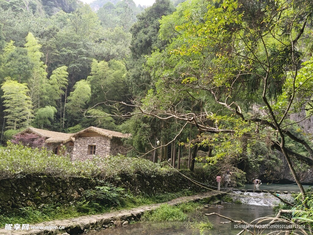 山间小屋静谧自然之景