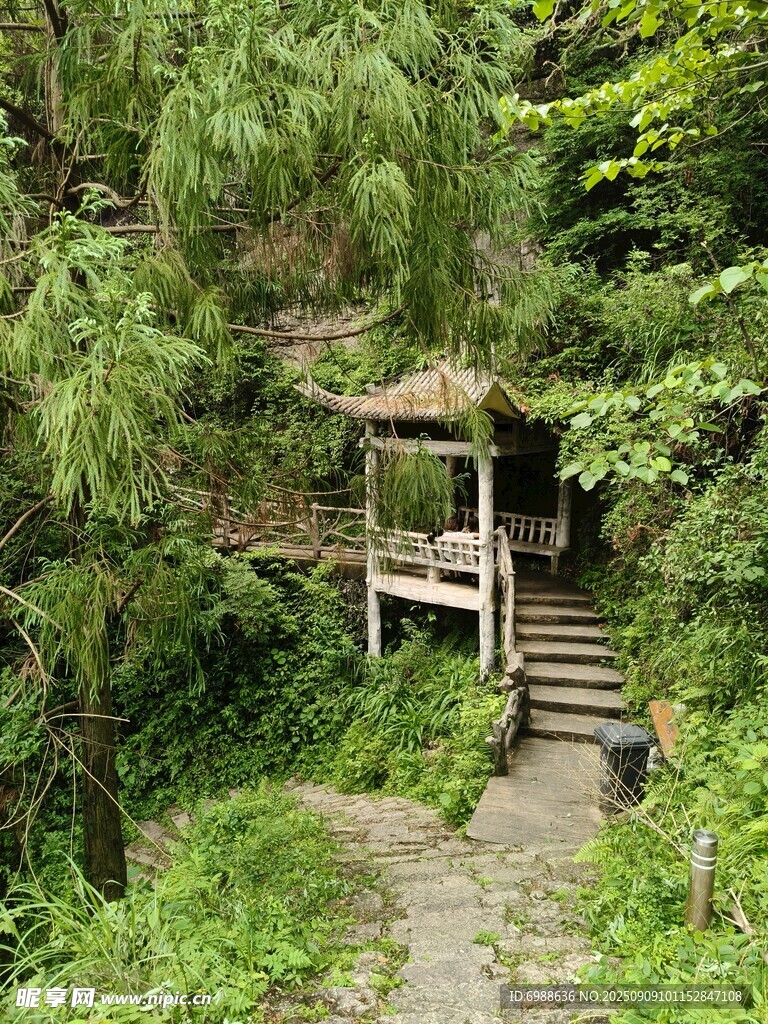 林间小径旁的古朴小凉亭