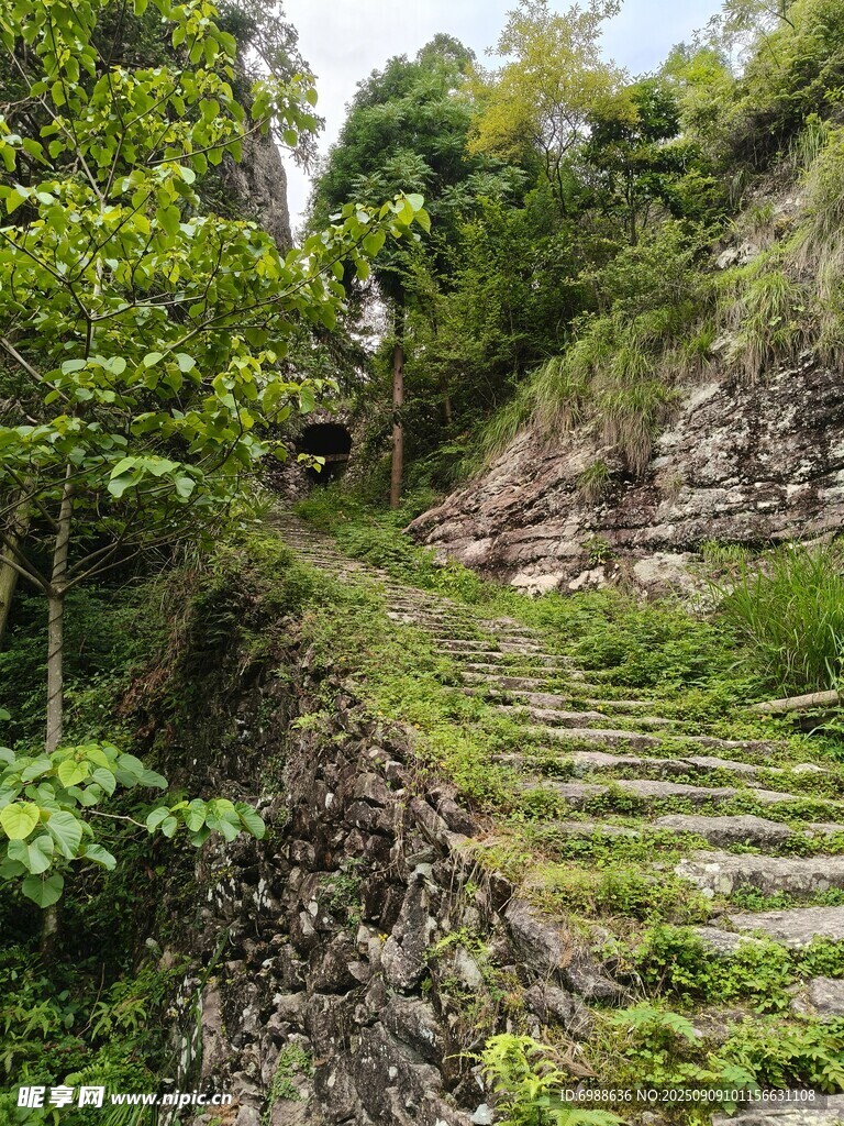 山间石阶绿意环绕的小径