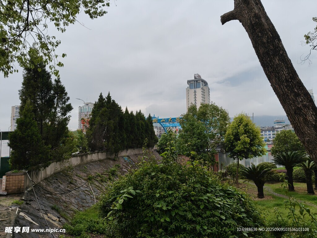 公园绿植与远处建筑景观