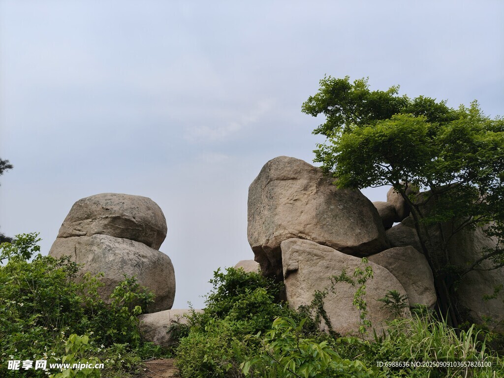 山间奇石与葱郁绿植
