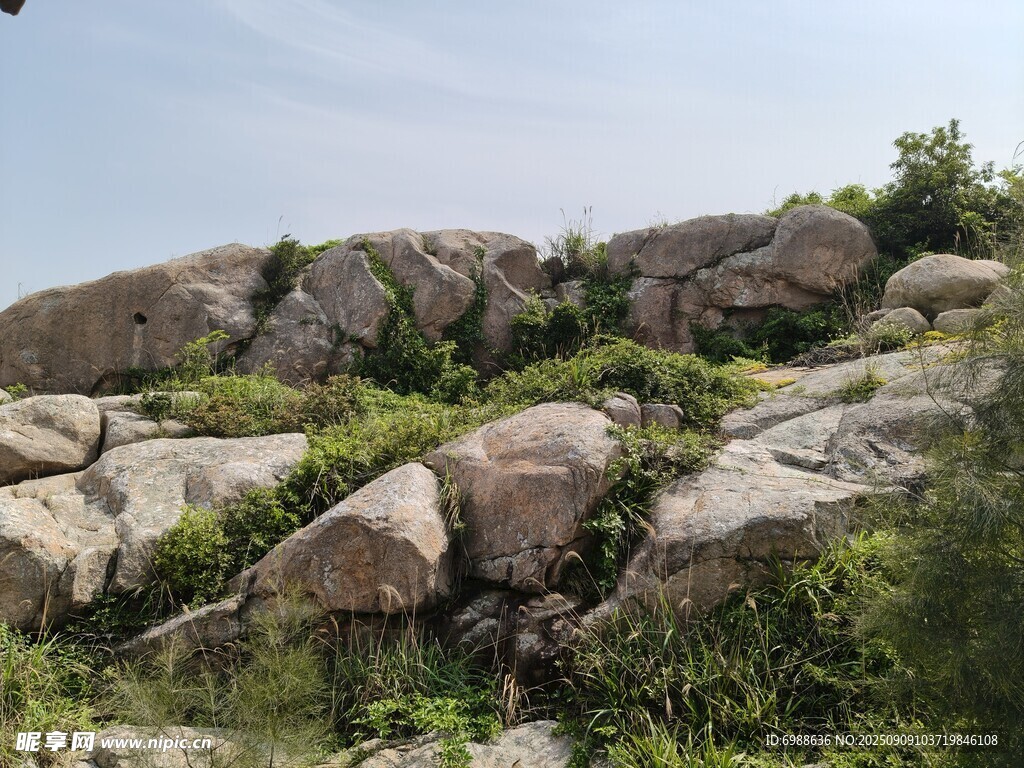 嶙峋山石与绿意相伴