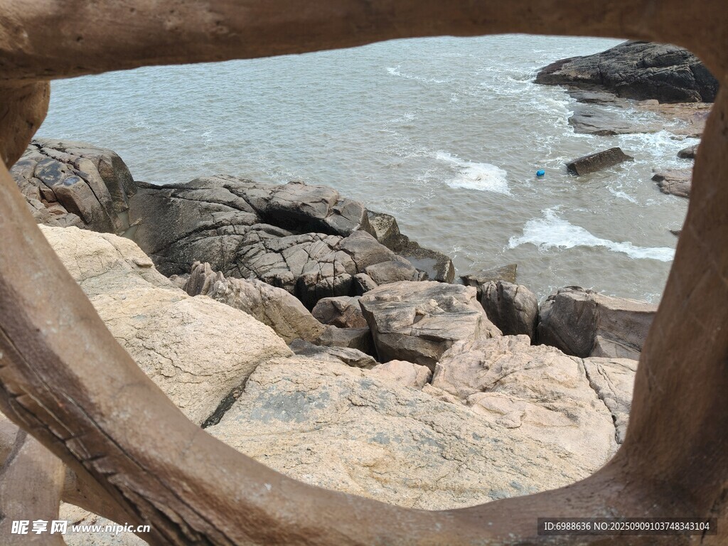 透过树枝看海边岩石