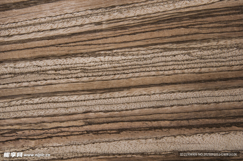 木板木纹