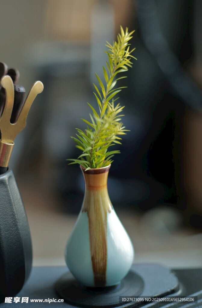 简约花瓶中的翠绿植物