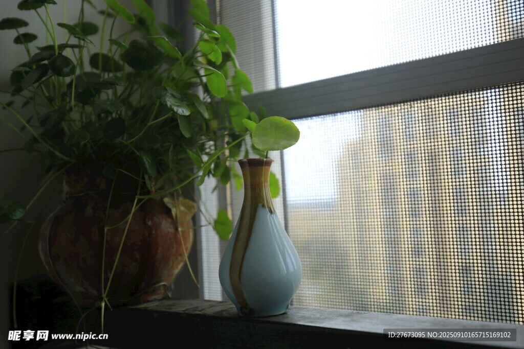 窗边绿植与素雅花瓶