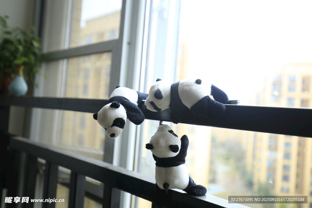 三只熊猫玩偶趴阳台护栏