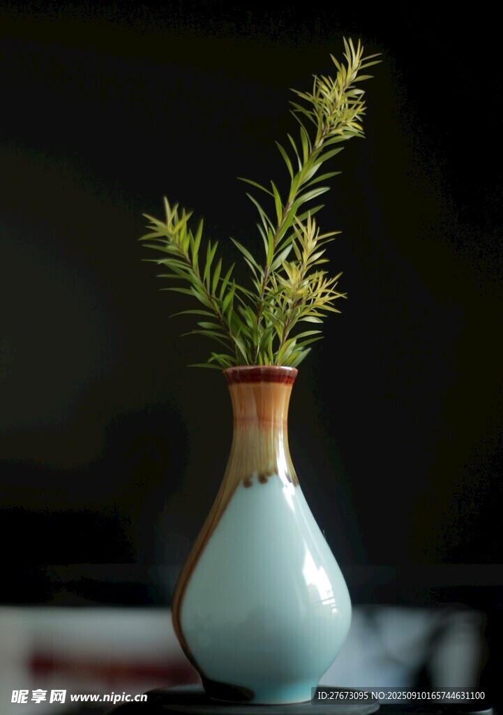 蓝白花瓶中的清新绿植